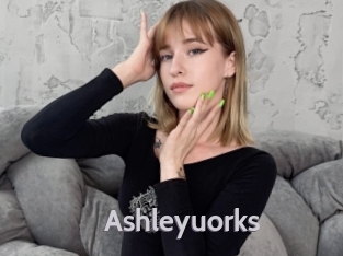 Ashleyuorks
