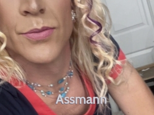 assmann Live Cam 66