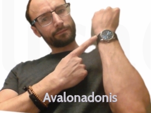 Avalonadonis