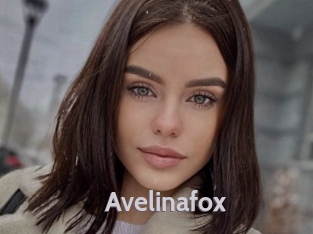 Avelinafox