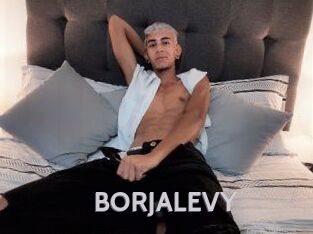 BORJALEVY