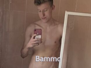 Bammo