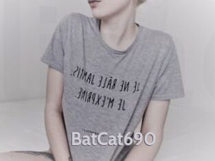 BatCat690