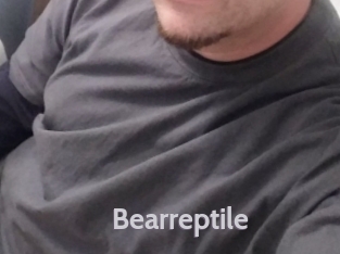 Bearreptile Live Cam 66