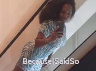 BecauseISaidSo