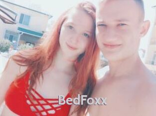 BedFoxx