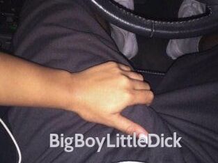 BigBoyLittleDick
