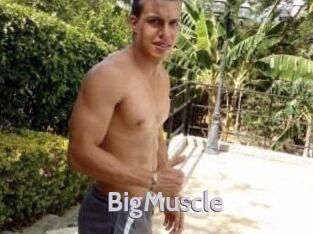 Big_Muscle