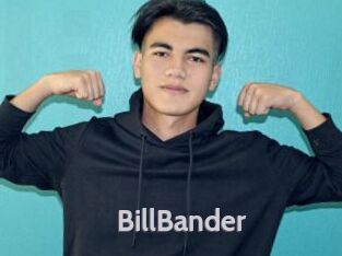 BillBander Live Cam 66