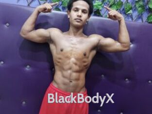 BlackBodyX