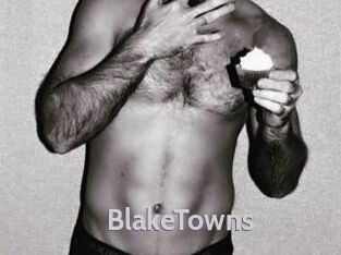 BlakeTowns