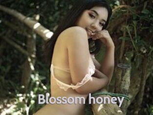 Blossom_honey