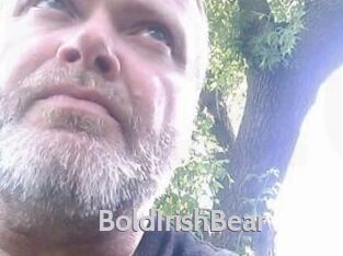 BoldIrishBear