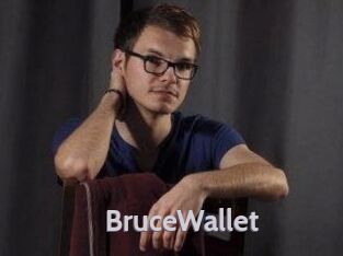 BruceWallet