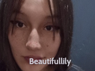 Beautifullily