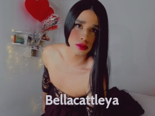 Bellacattleya