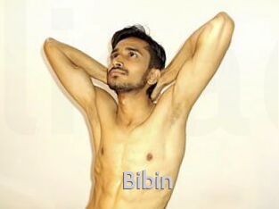 Bibin