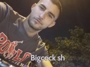 Bigcock_sh