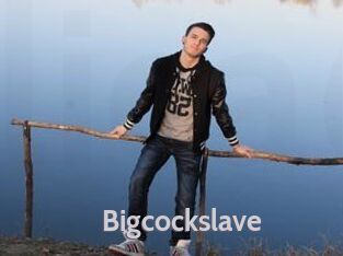 Bigcockslave