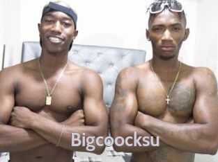 Bigcoocksu