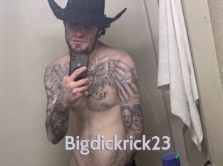 Bigdickrick23