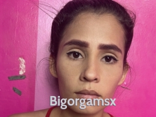 Bigorgamsx