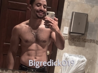 bigredick019 Live Cam 66