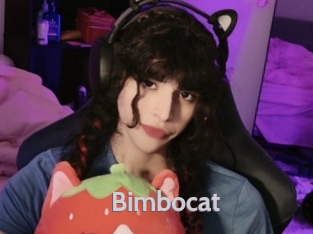 Bimbocat
