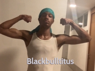 blackbulltitus Live Cam 66