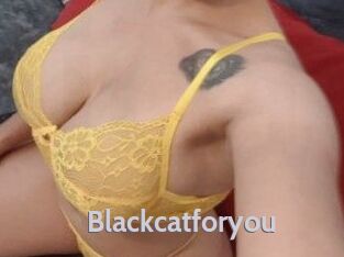 Blackcatforyou