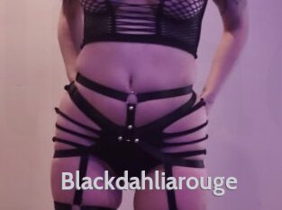 Blackdahliarouge