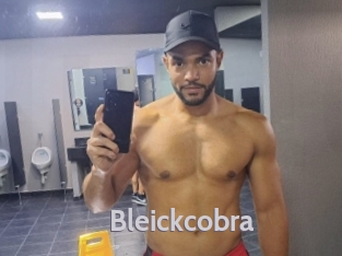 Bleickcobra
