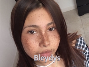 Bleydys