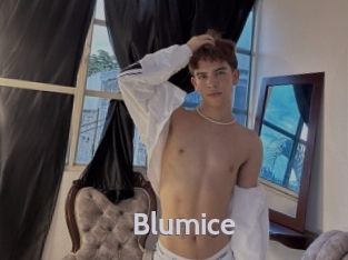 Blumice