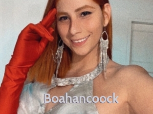 boahancoock Live Cam 66