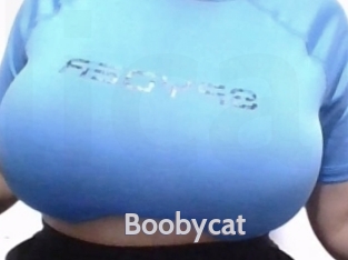Boobycat