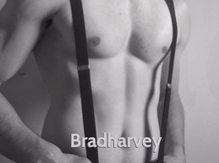 Bradharvey