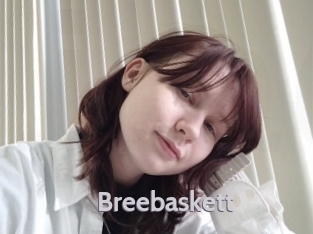 Breebaskett