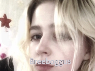 Breeboggus