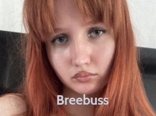 Breebuss