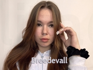 Breedevall