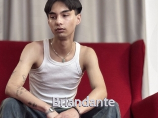 Briandante