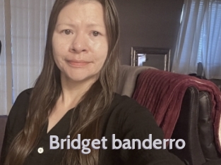 Bridget_banderro