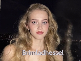 brimladhessel Live Cam 66