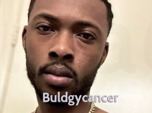 Buldgycancer