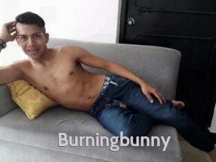 Burningbunny