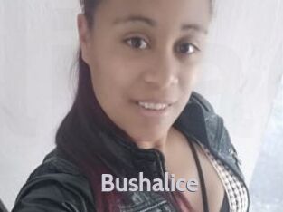 Bushalice
