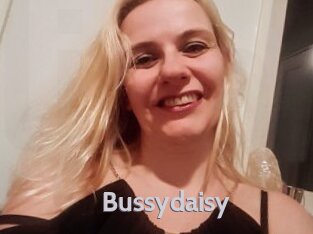 Bussydaisy