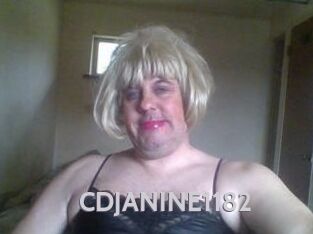 CDJANINE1182 Live Cam 66