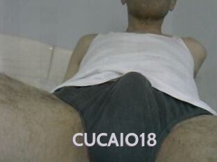 CUCAIO18